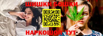 крисы Шебекино