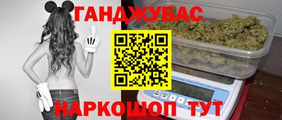 крисы Шебекино
