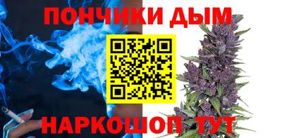 крисы Шебекино