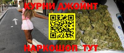 крисы Шебекино