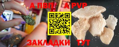крисы Шебекино