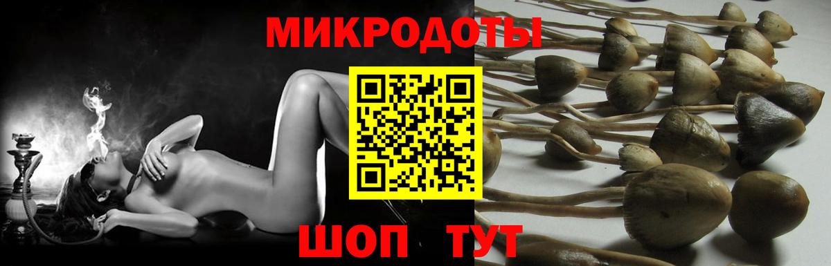 Галлюциногенные грибы Magic Shrooms Белово